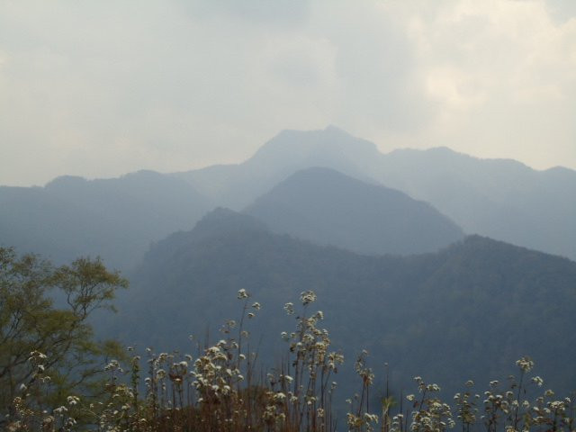 Pulie Badze景点图片