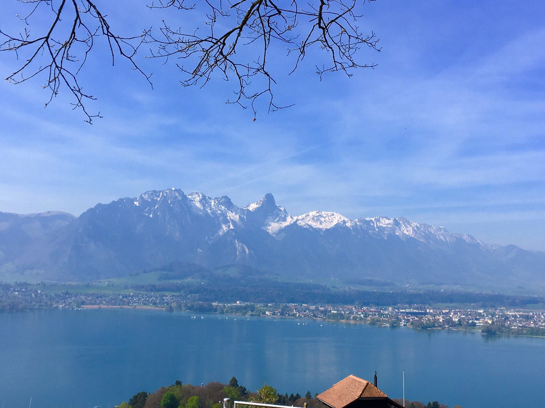 Panorama Rundweg Thunersee景点图片