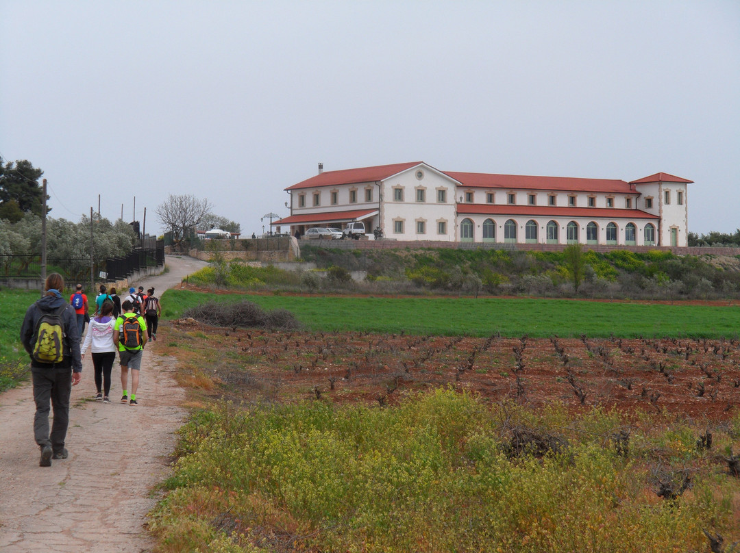 Wine Museum Tzivani-Khalkis必去景点