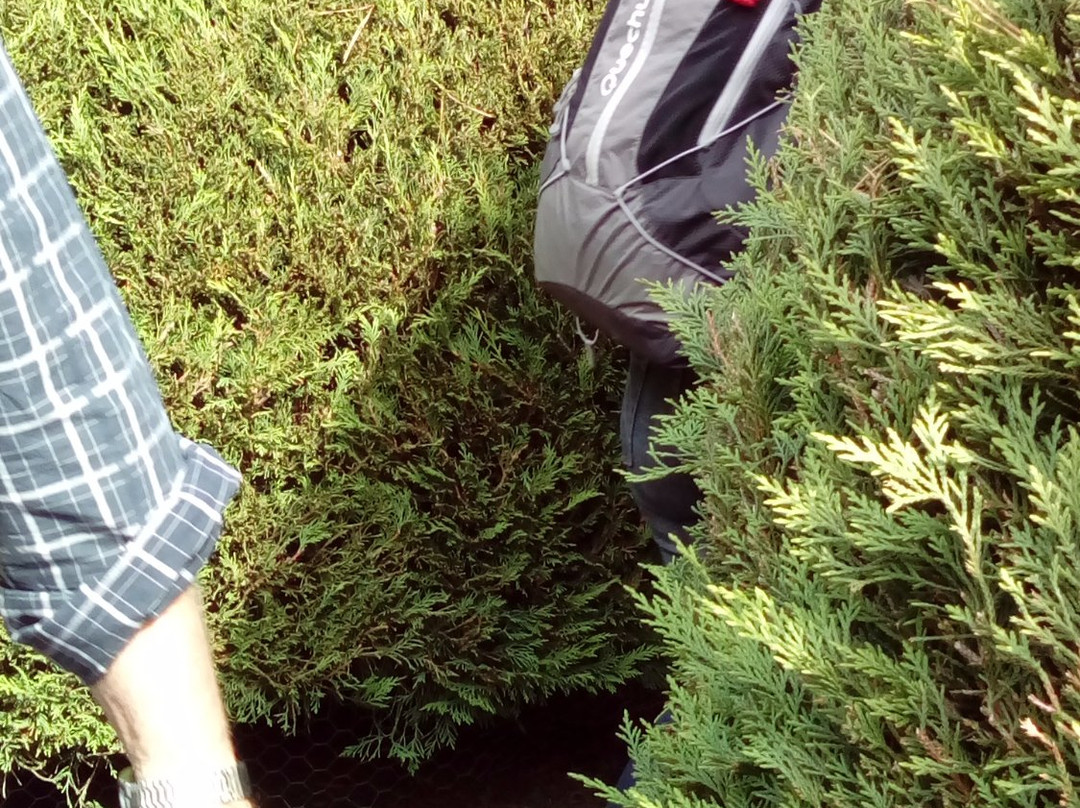 Maze House-Newlyn必去景点