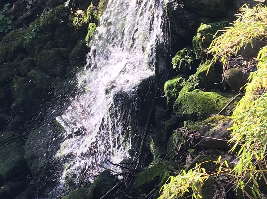 Enbrook Park-Sandgate必去景点
