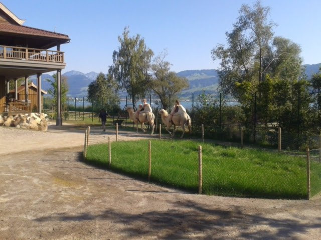Knies Kinderzoo Rapperswil