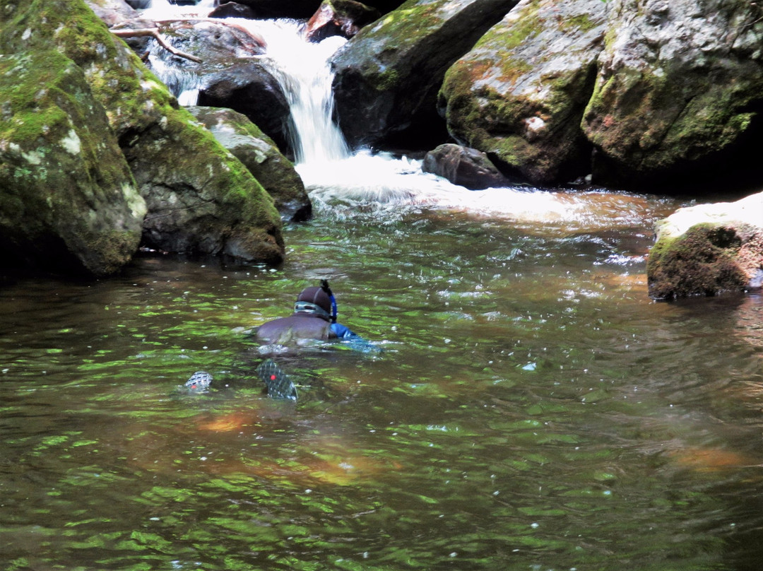 Oxbow River Snorkeling-Rosman必去景点