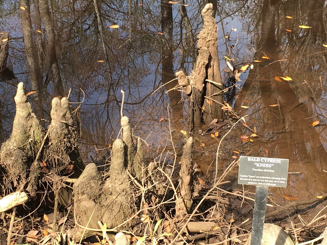 Savannah-Ogeechee Canal Museum and Nature Center-萨凡纳必去景点