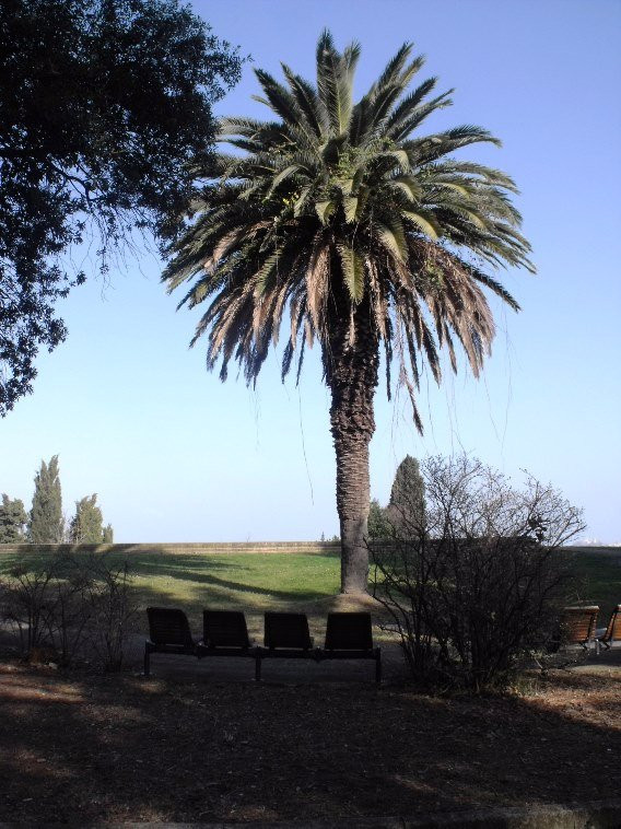 Parco Belvedere Posatora-安科纳必去景点