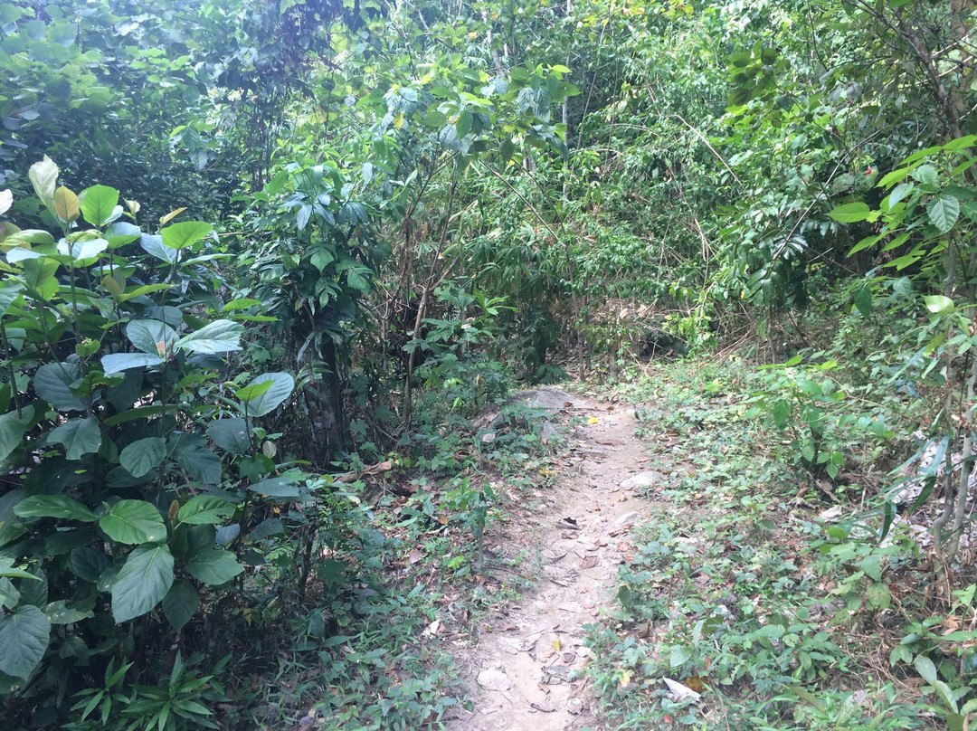 Binduyan Fall景点图片