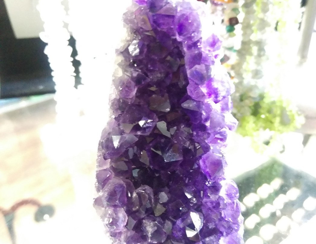 Palisade Discs & Gifts-Palisade必去景点