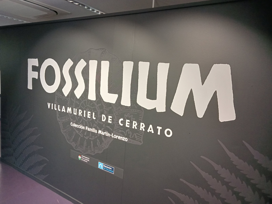 Fossilium Villamuriel