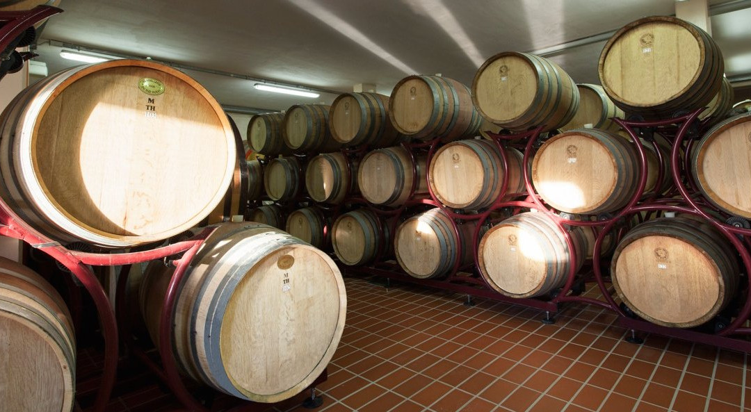 Tenuta Montecatone景点图片