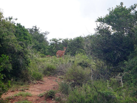 Lushington Valley Reserve-Bathurst必去景点