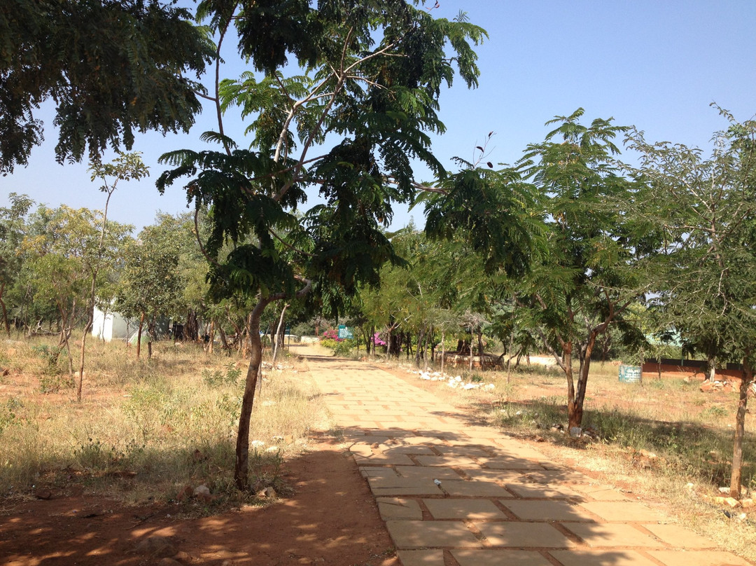 Mallela Theertham Waterfalls景点图片