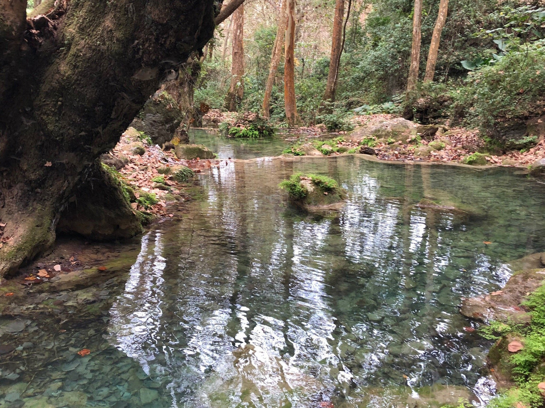 Cascada El Chuveje-Pinal de Amoles必去景点