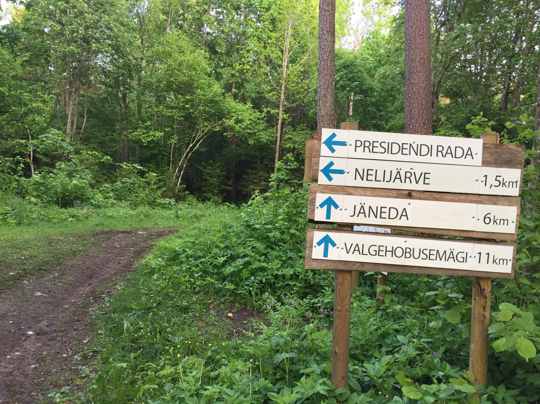 President’s Hiking Trail-Aegviidu必去景点