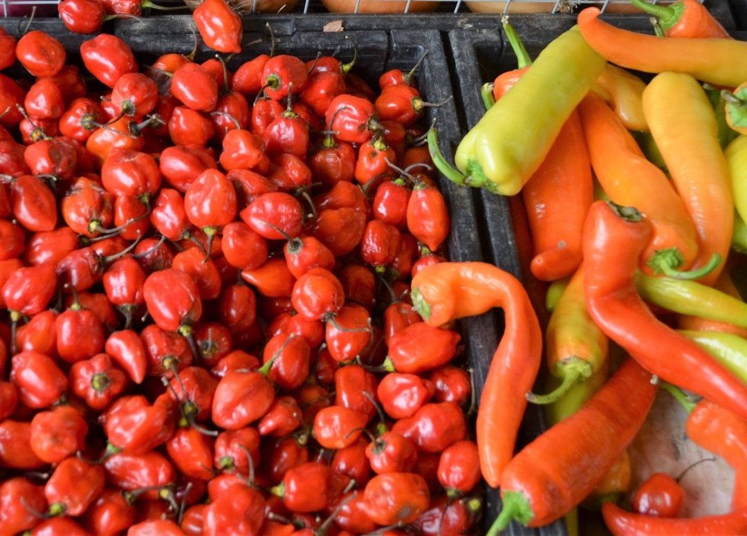 State Farmers Market景点图片