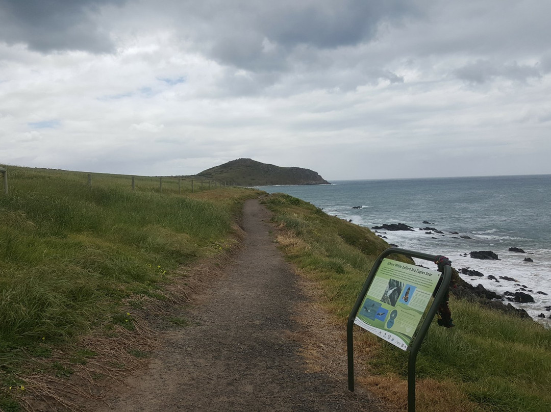 Encounter Bikeway-维克多港必去景点