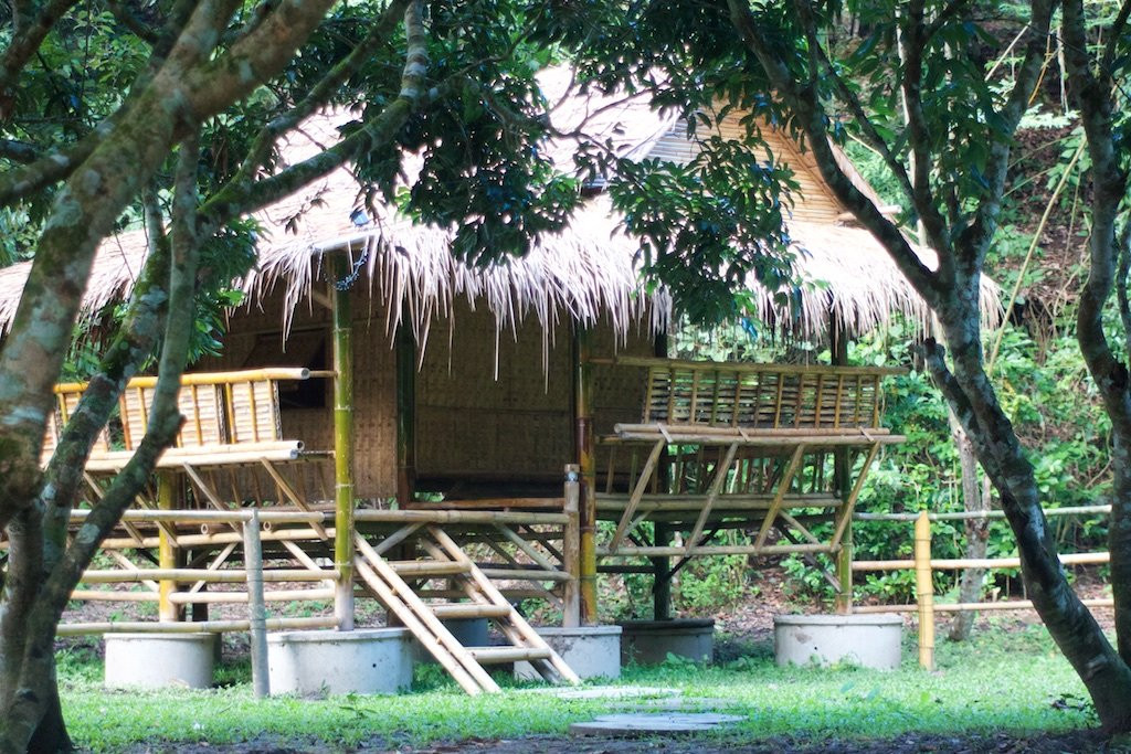 Cool Bananas Homestay