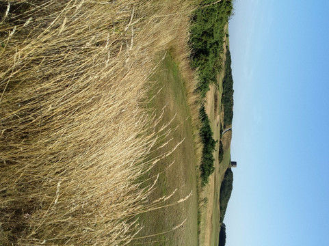 Kirkistown Castle Golf Club-Cloughey必去景点