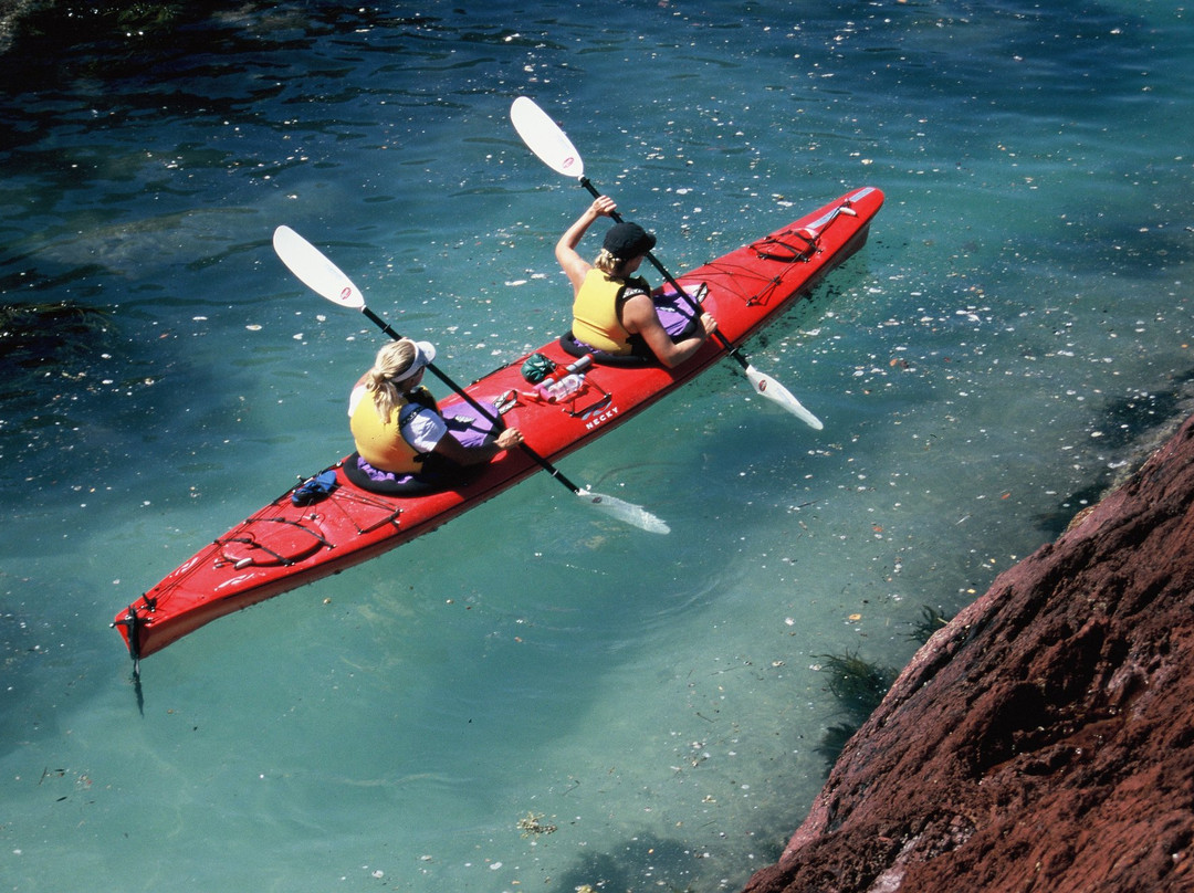 Ocean Adventure Sea Kayaking景点图片