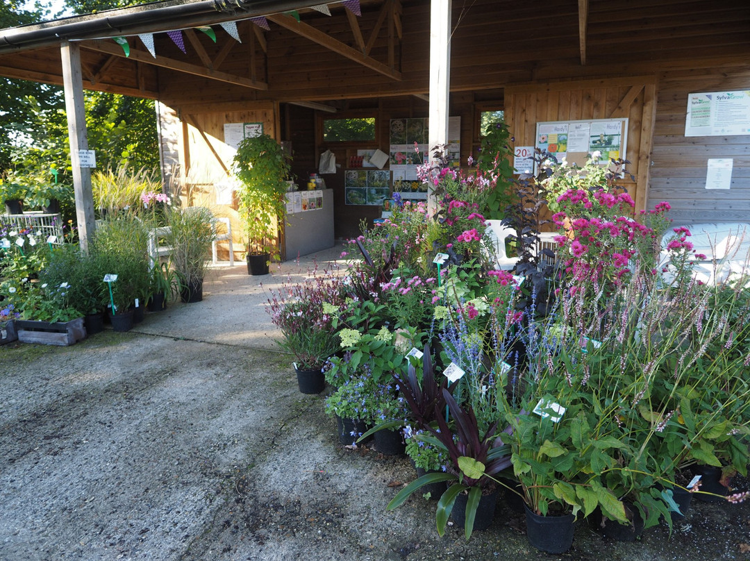 Hardy's Cottage Garden Plants景点图片