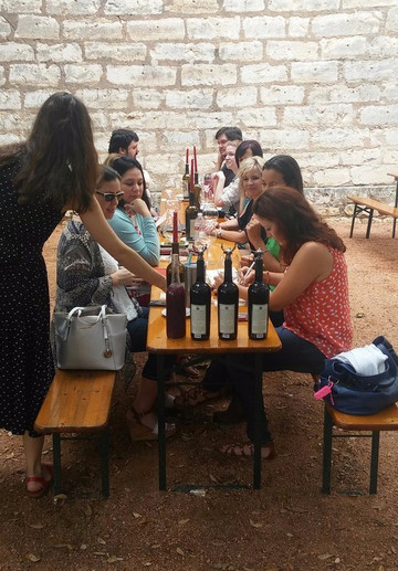 Yellow Rose Of Texas Wine Tours-弗雷德里克斯堡必去景点