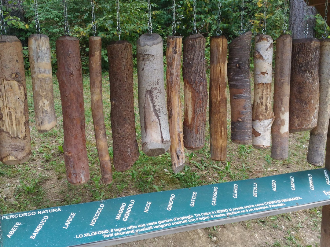 Percorso Natura景点图片