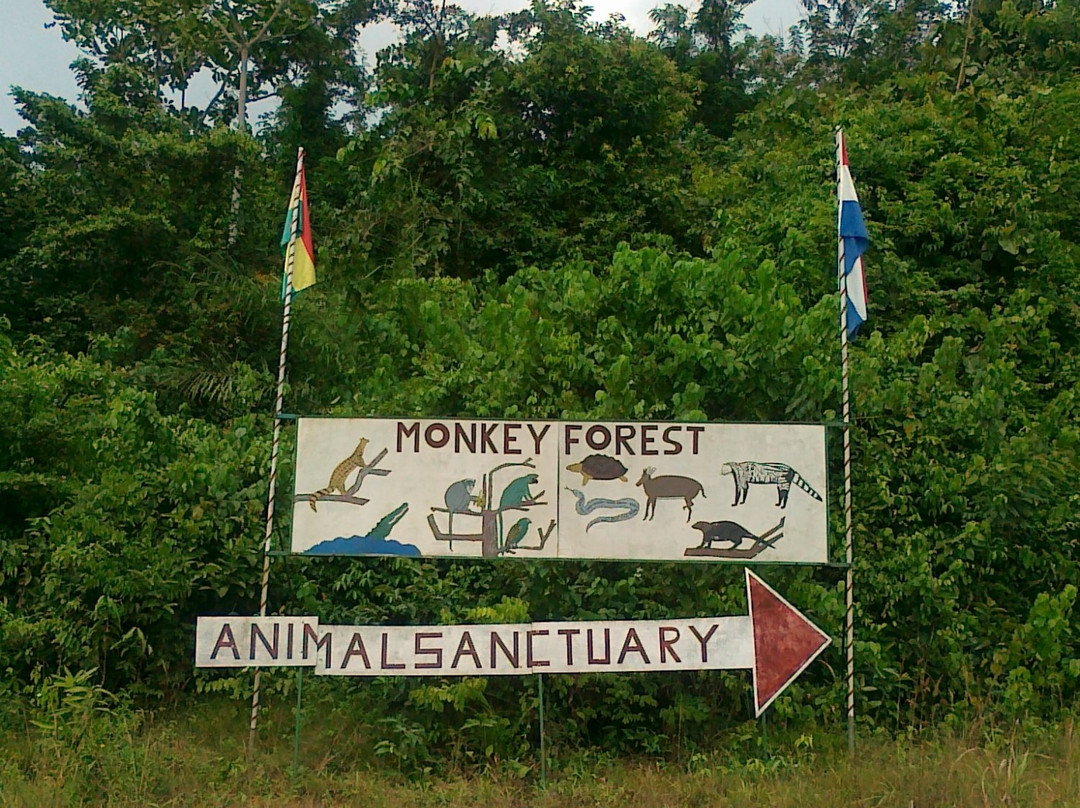 Monkey Forest Resort景点图片
