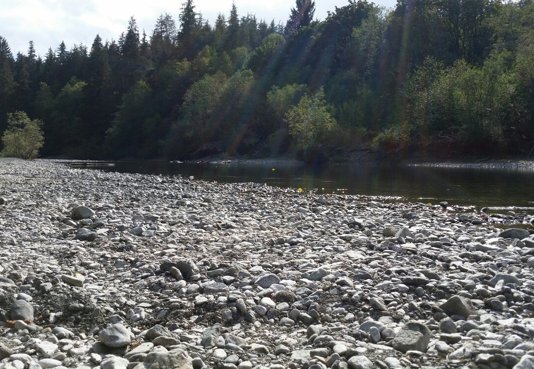 Nitinat River Provincial Park-Honeymoon Bay必去景点