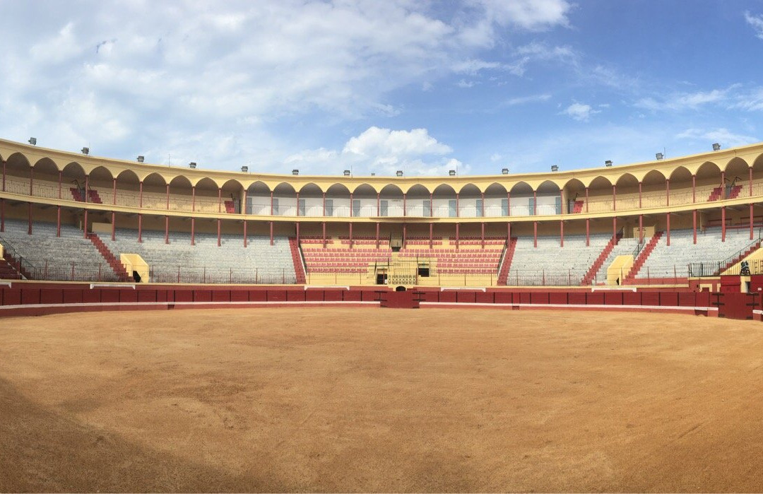 Coliseu Figueirense na Figueira da Foz景点图片