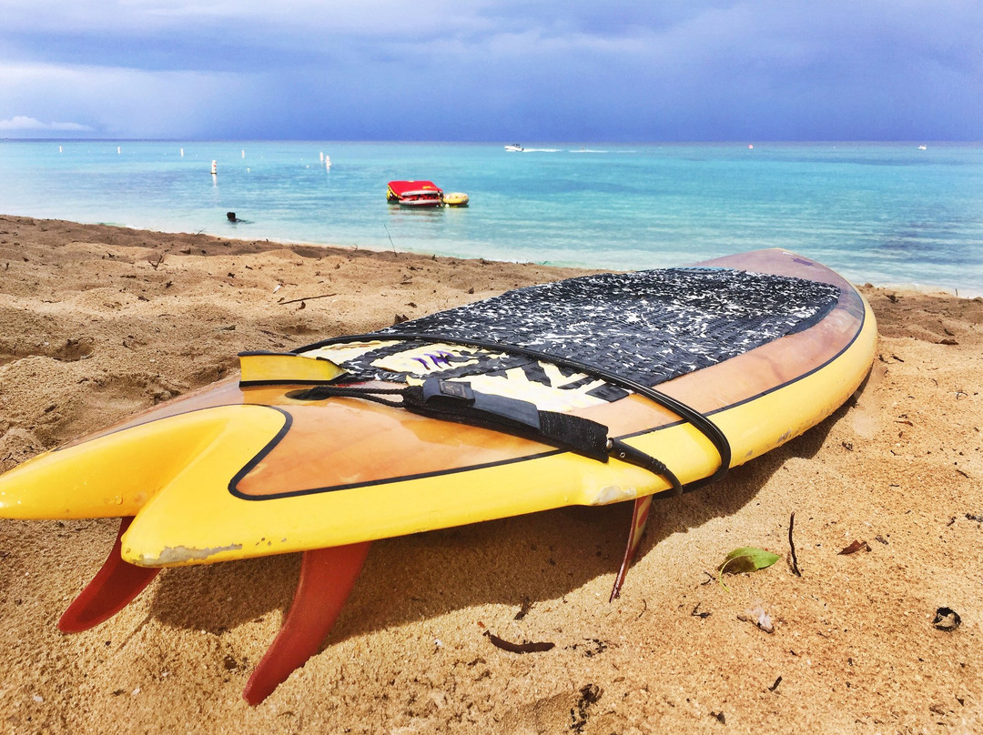 What' SUP Barbados-布里奇顿必去景点