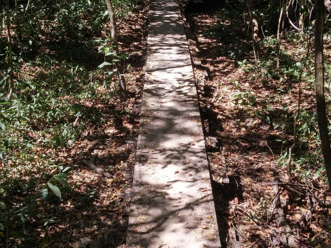 Cachoeira São Bartolomeu-Cavalcante必去景点