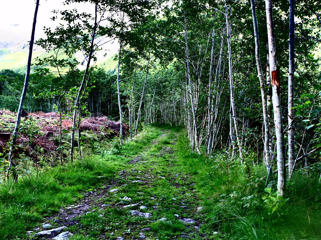 Klovstien Path景点图片