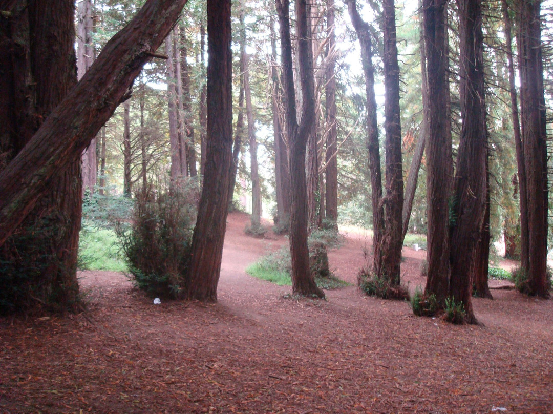 麦莱恩公园-旧金山必去景点