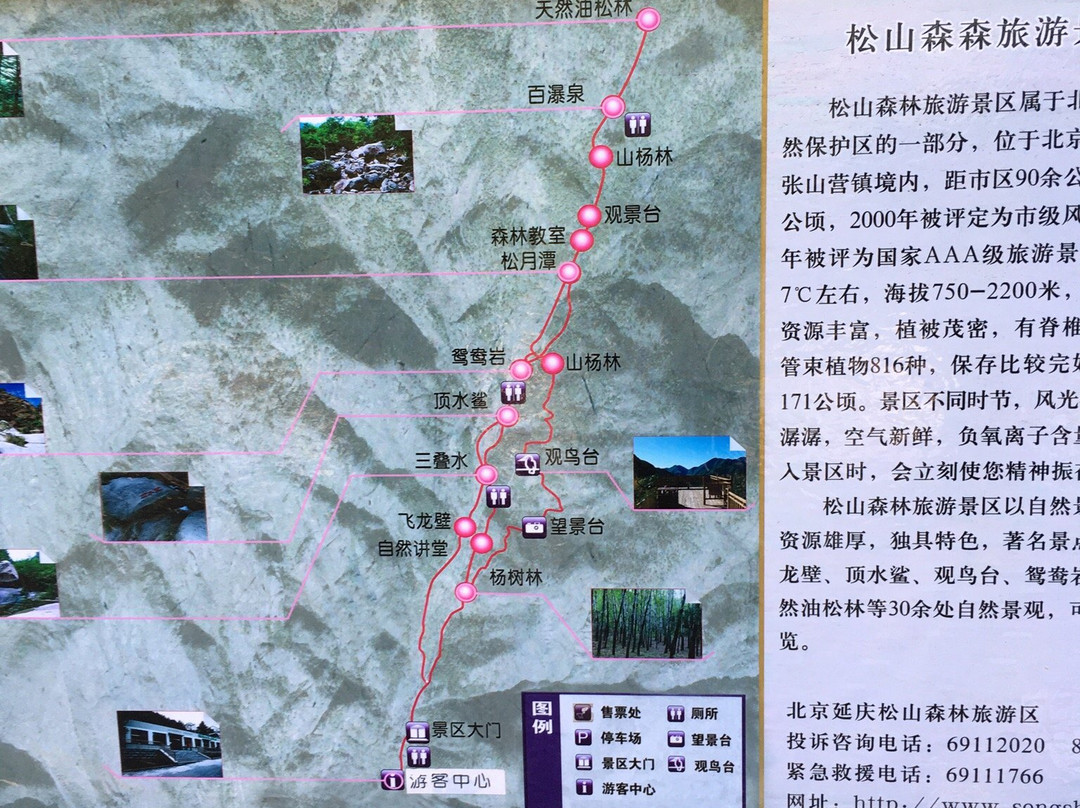 松山森林旅游区-北京市必去景点