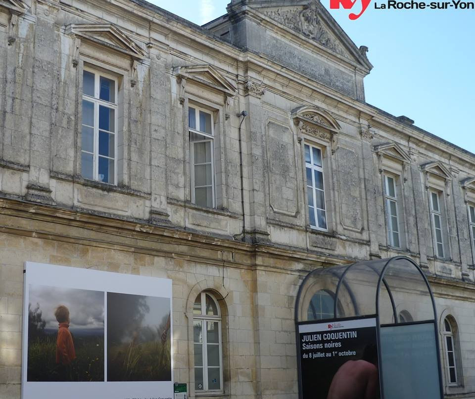 Musée de La Roche-sur-Yon景点图片