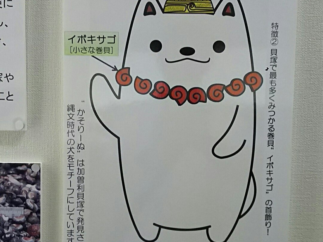 Kasori Shellmounds Site Museum-千叶市必去景点