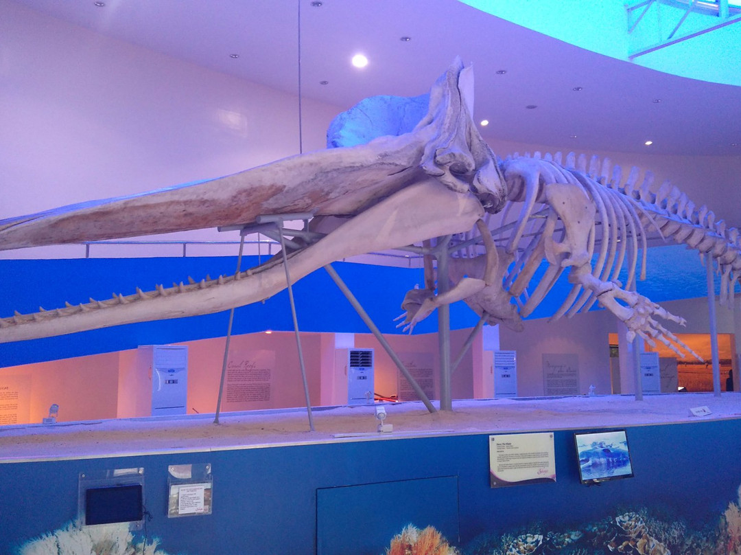 Subangang Museum-Mati必去景点