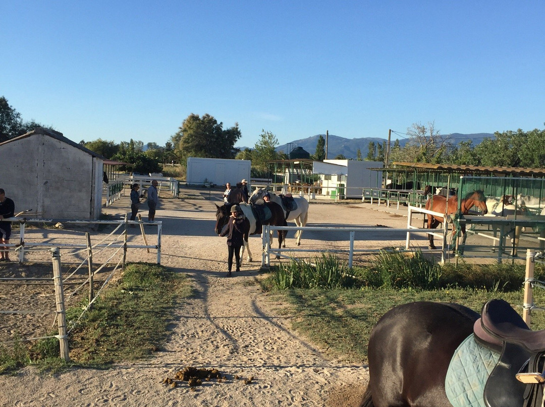 Le Cheval Andalou景点图片