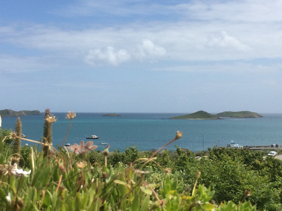 St Martin's Vineyard-St Martin's必去景点