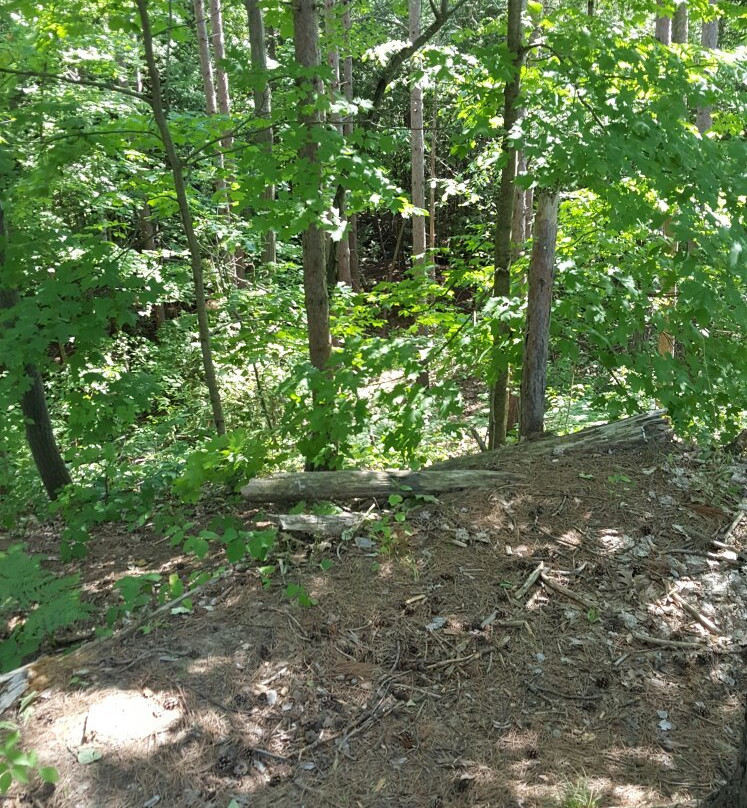 Ardagh Bluffs-巴利必去景点