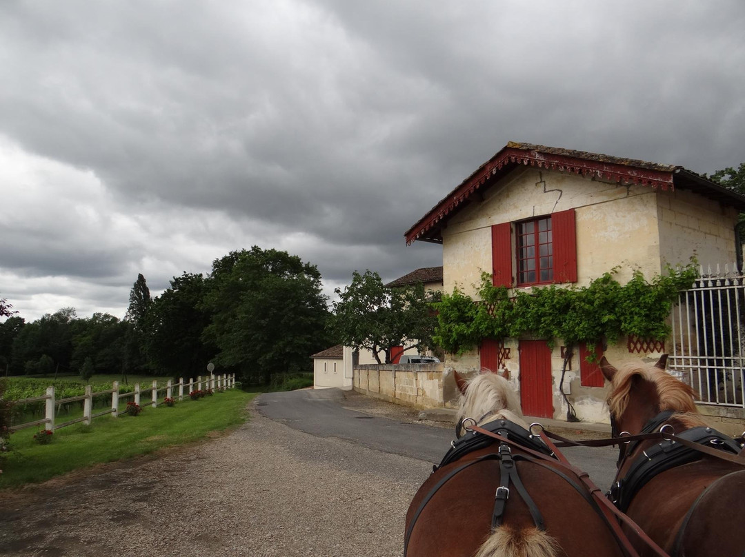 La Ferme à Roulettes景点图片