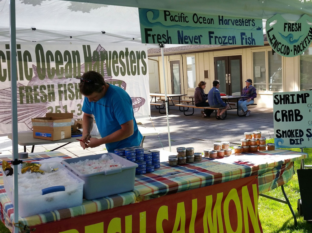 Jville Market-Jacksonville必去景点