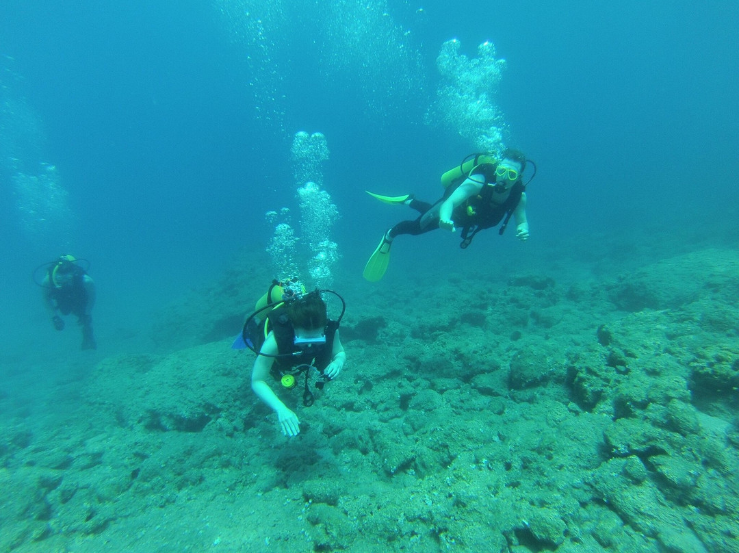 Dream Dive Centre景点图片