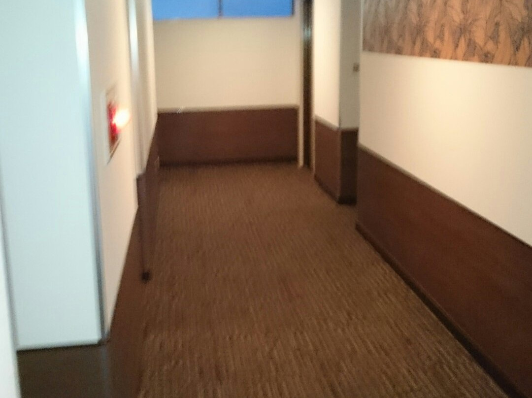 Hotel New Gaea Iizuka主图