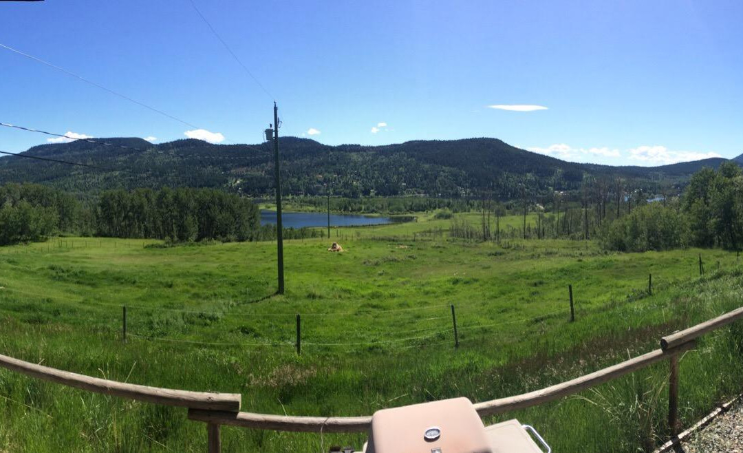 Jandana Ranch-坎卢普斯必去景点