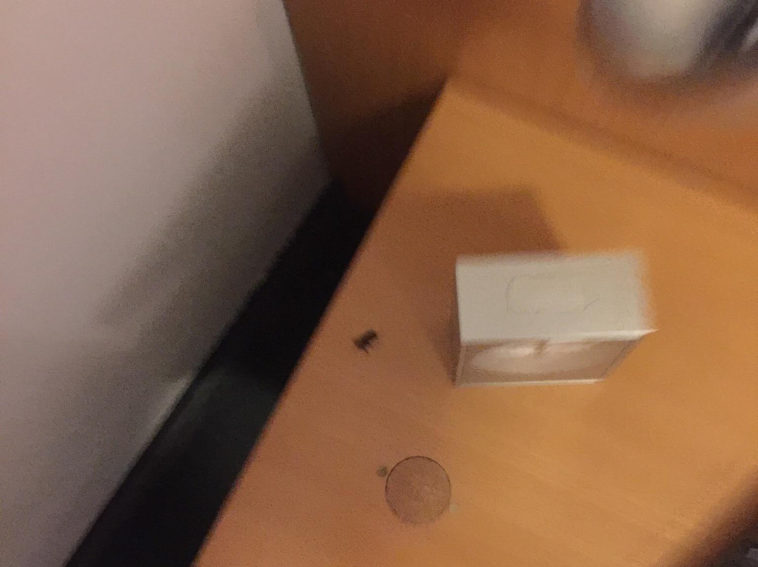 格鲁恩斯霍夫酒店主图