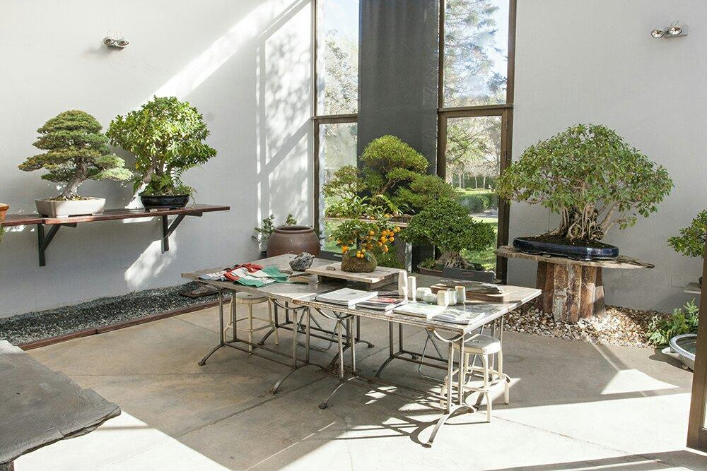 Museo Bonsai Luis Vallejo-阿尔科文达斯必去景点