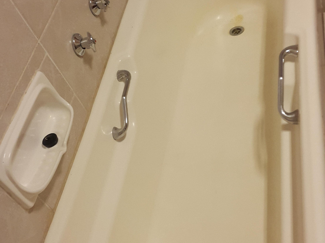 Big Tree B & B主图