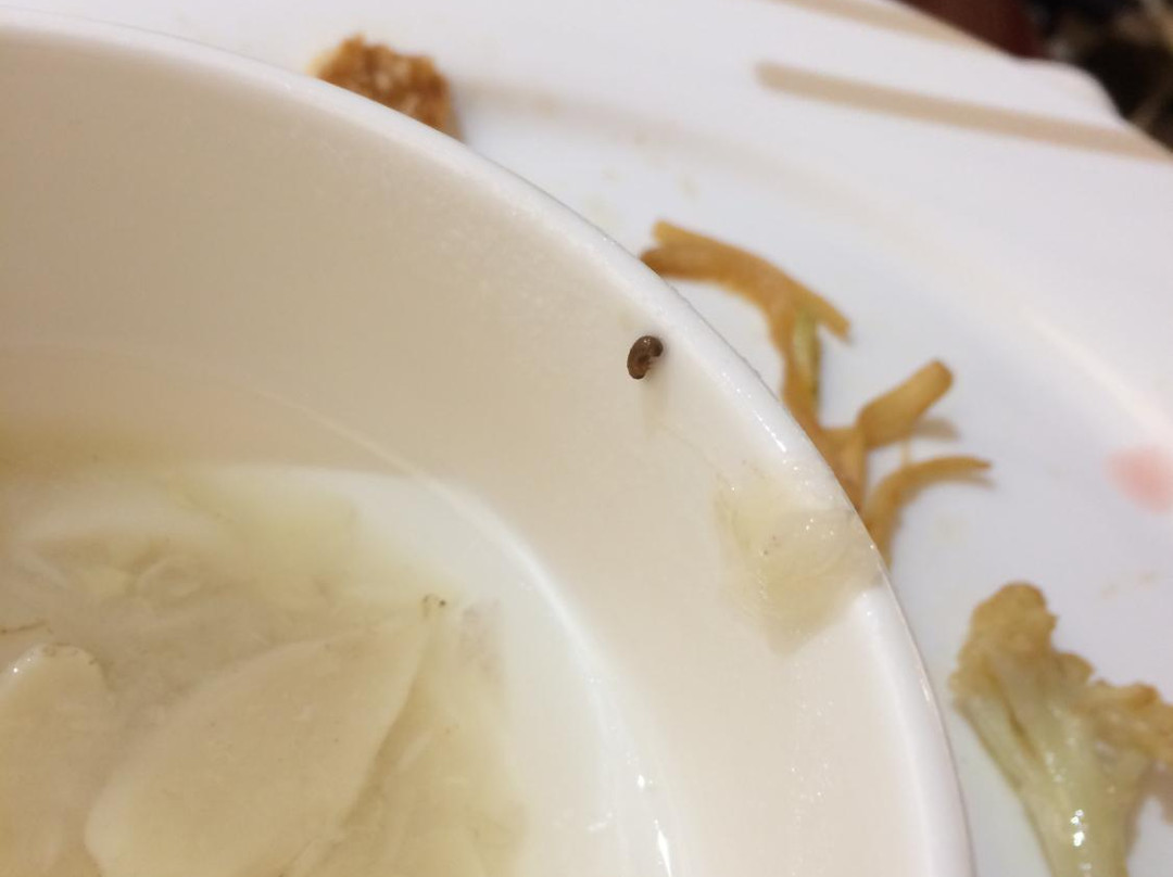 温泉度假山庄主图
