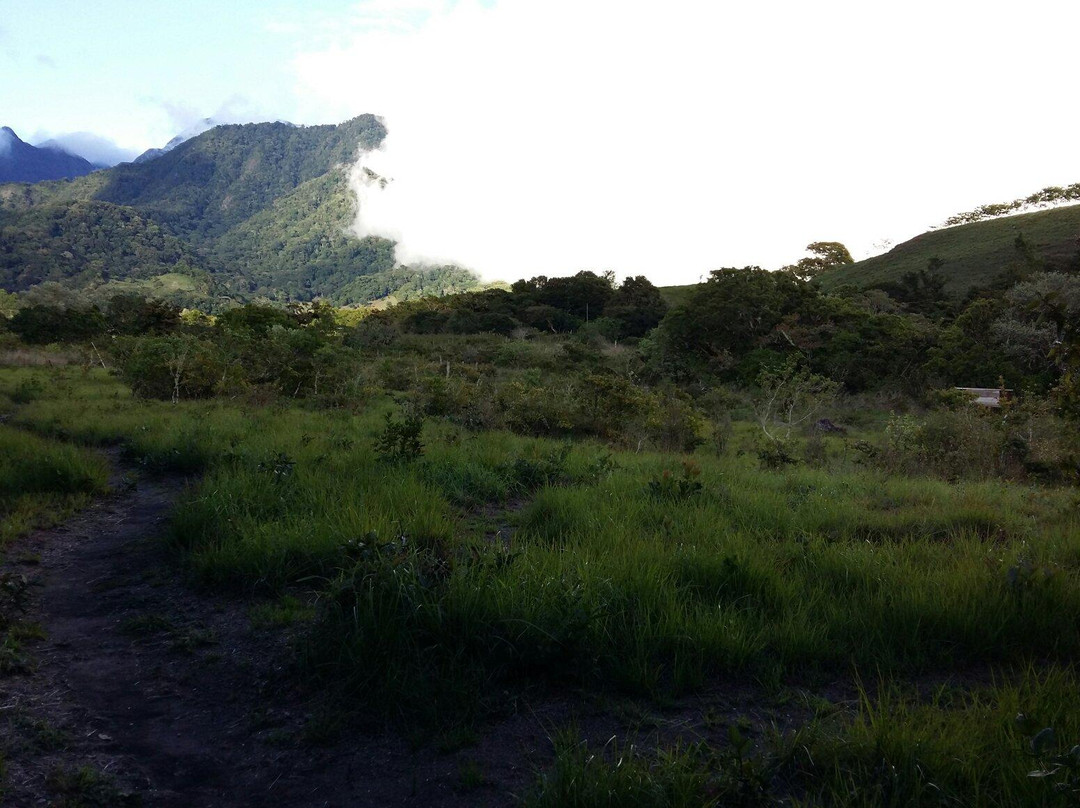 Volcan Canopy Park景点图片