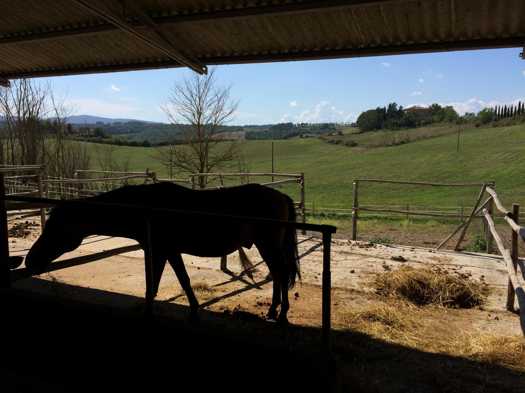 ASD Il Destriero-Buonconvento必去景点